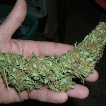 Legal Weed